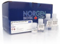 57300 Cells and Tissue DNA Isolation Micro Kit ( 50 rxn )